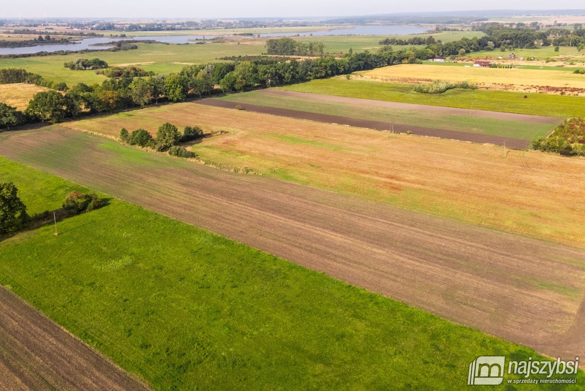 Giżyn, Pyrzyce - działki 3,69ha (13)