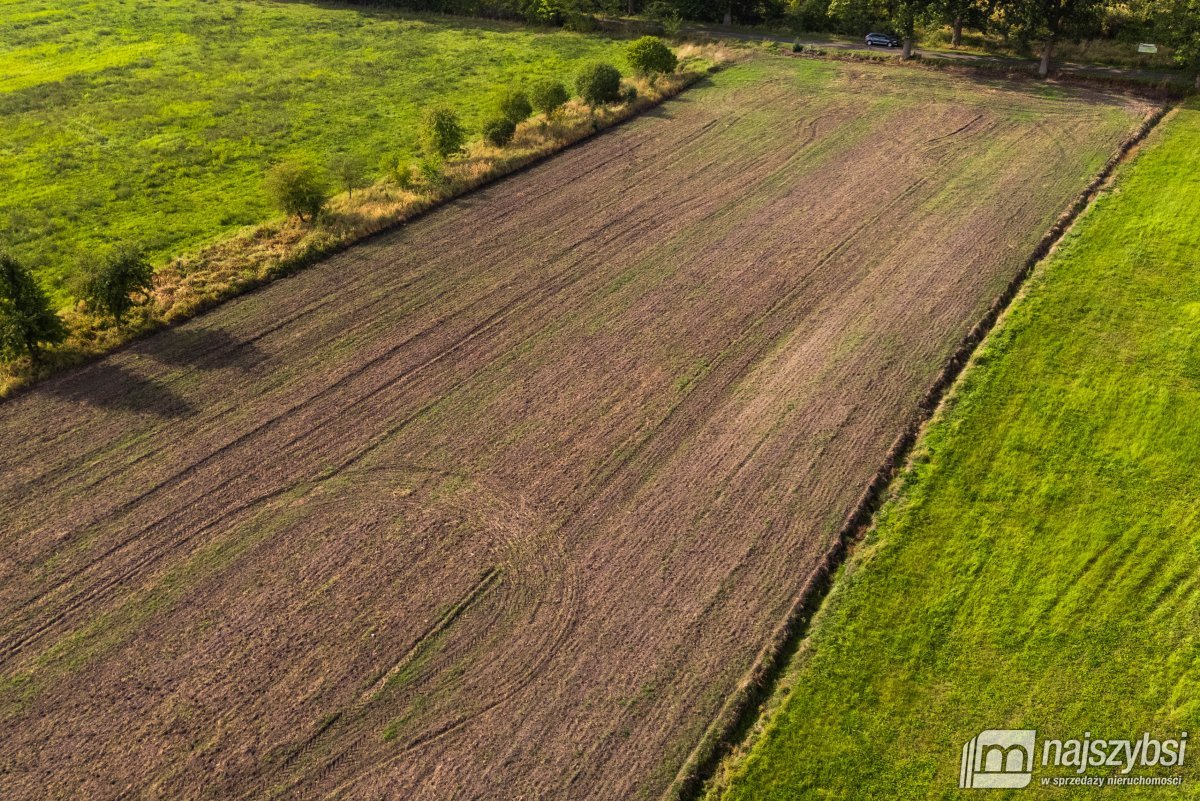 Giżyn, Pyrzyce - działki 3,69ha (14)