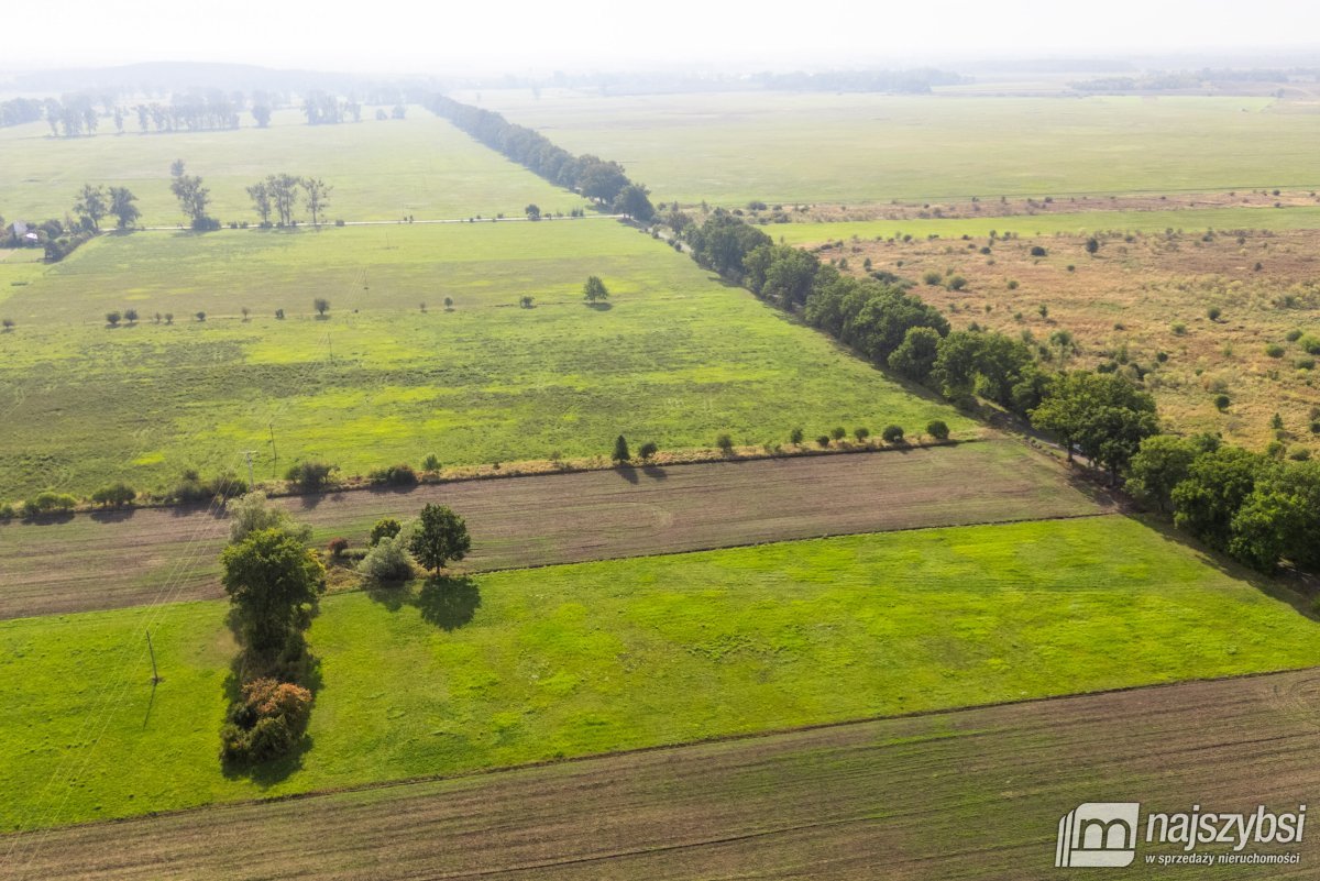 Giżyn, Pyrzyce - działki 3,69ha (15)