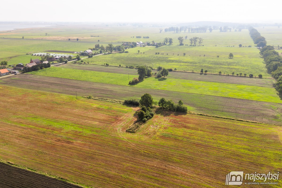 Giżyn, Pyrzyce - działki 3,69ha (16)