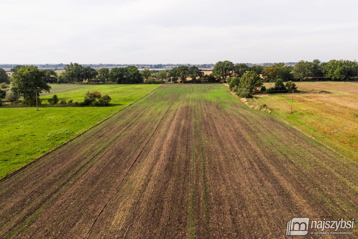 Giżyn, Pyrzyce - działki 3,69ha (19)