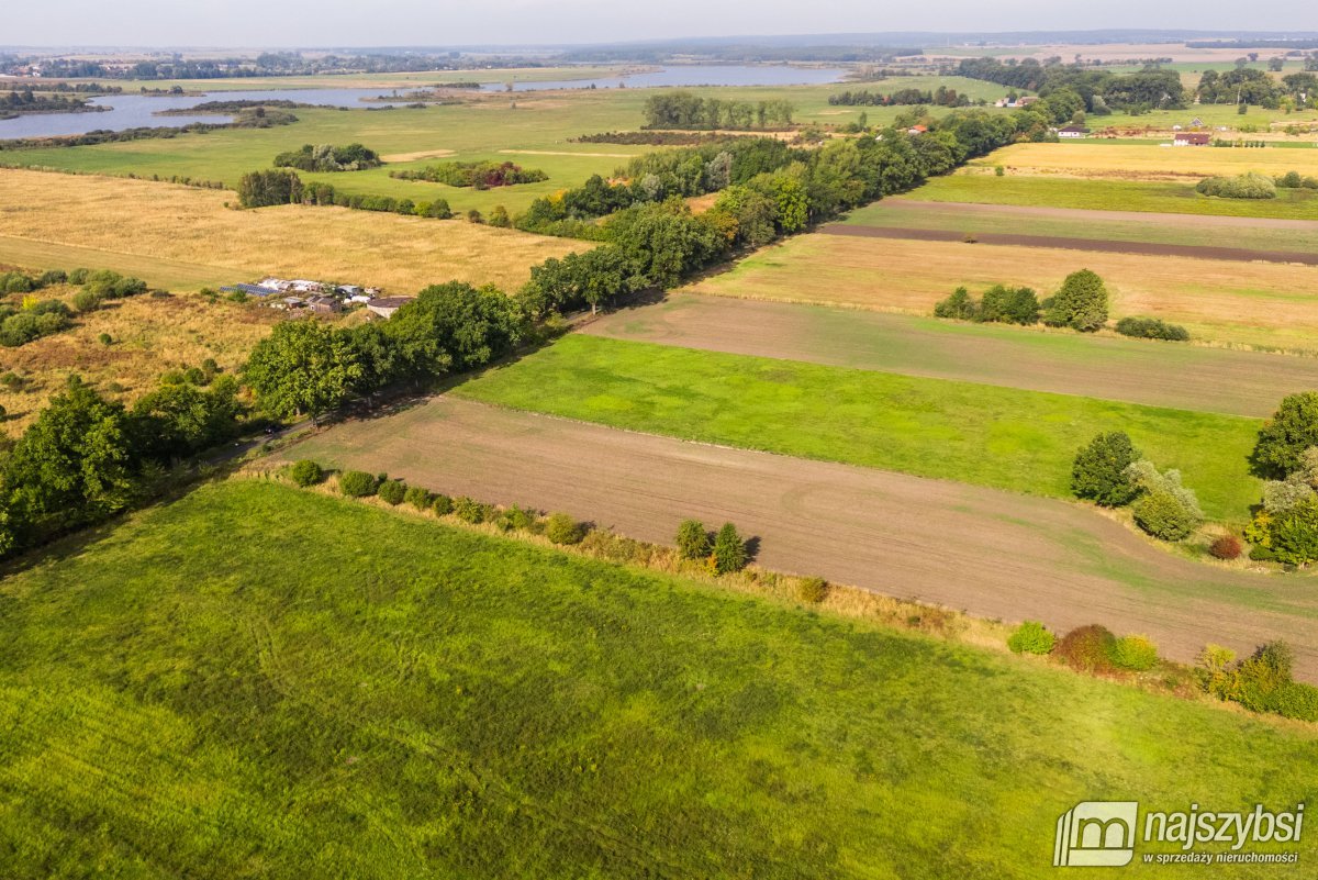 Giżyn, Pyrzyce - działki 3,69ha (2)