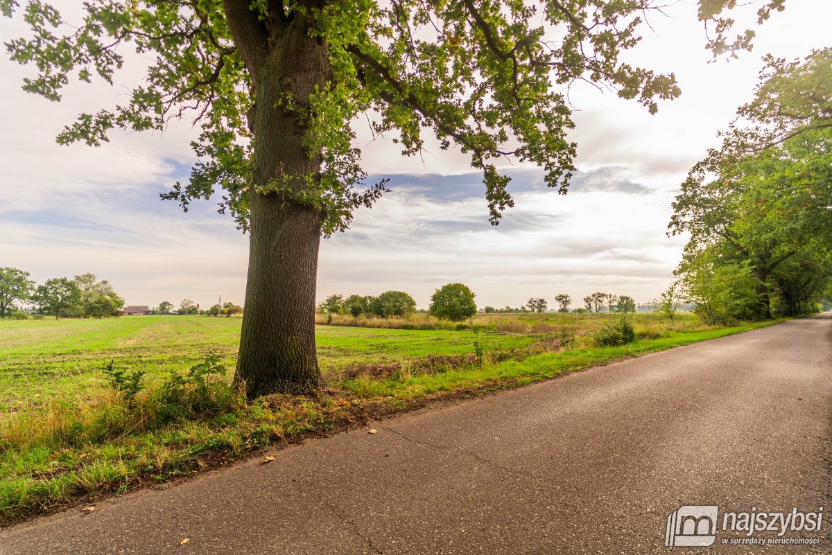 Giżyn, Pyrzyce - działki 3,69ha (20)