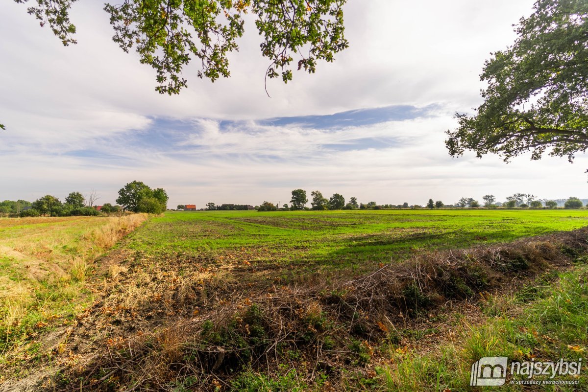 Giżyn, Pyrzyce - działki 3,69ha (3)