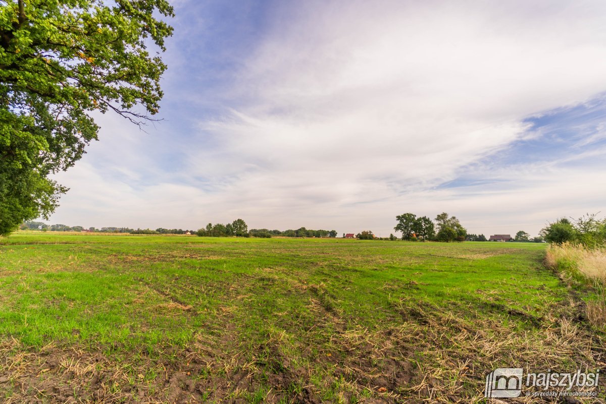 Giżyn, Pyrzyce - działki 3,69ha (4)