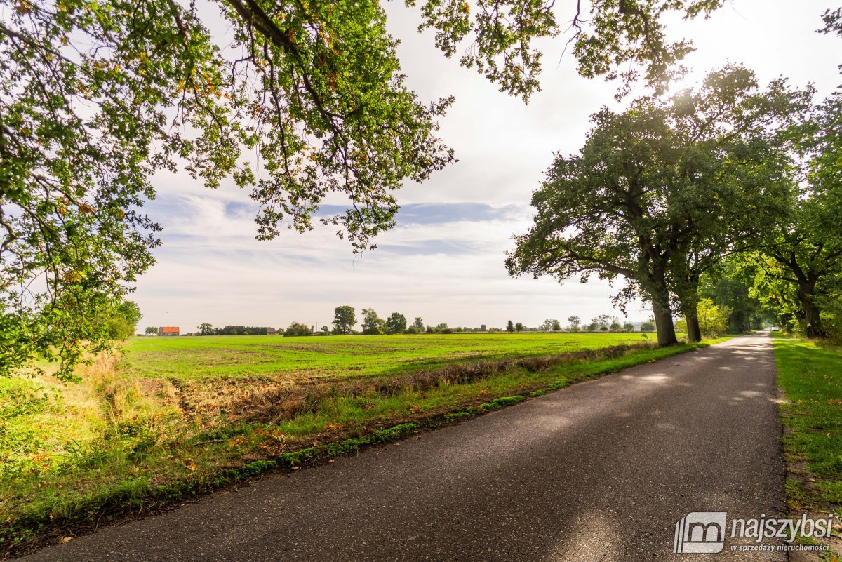 Giżyn, Pyrzyce - działki 3,69ha (5)
