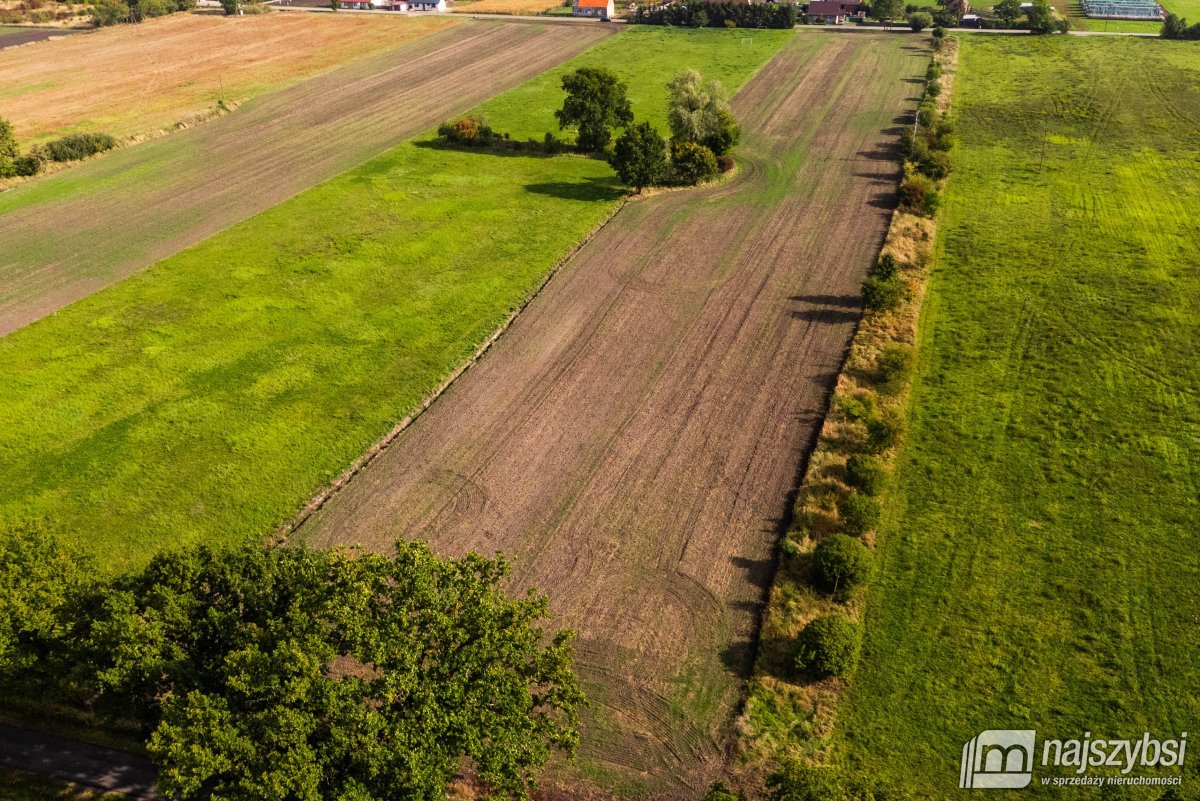 Giżyn, Pyrzyce - działki 3,69ha (6)