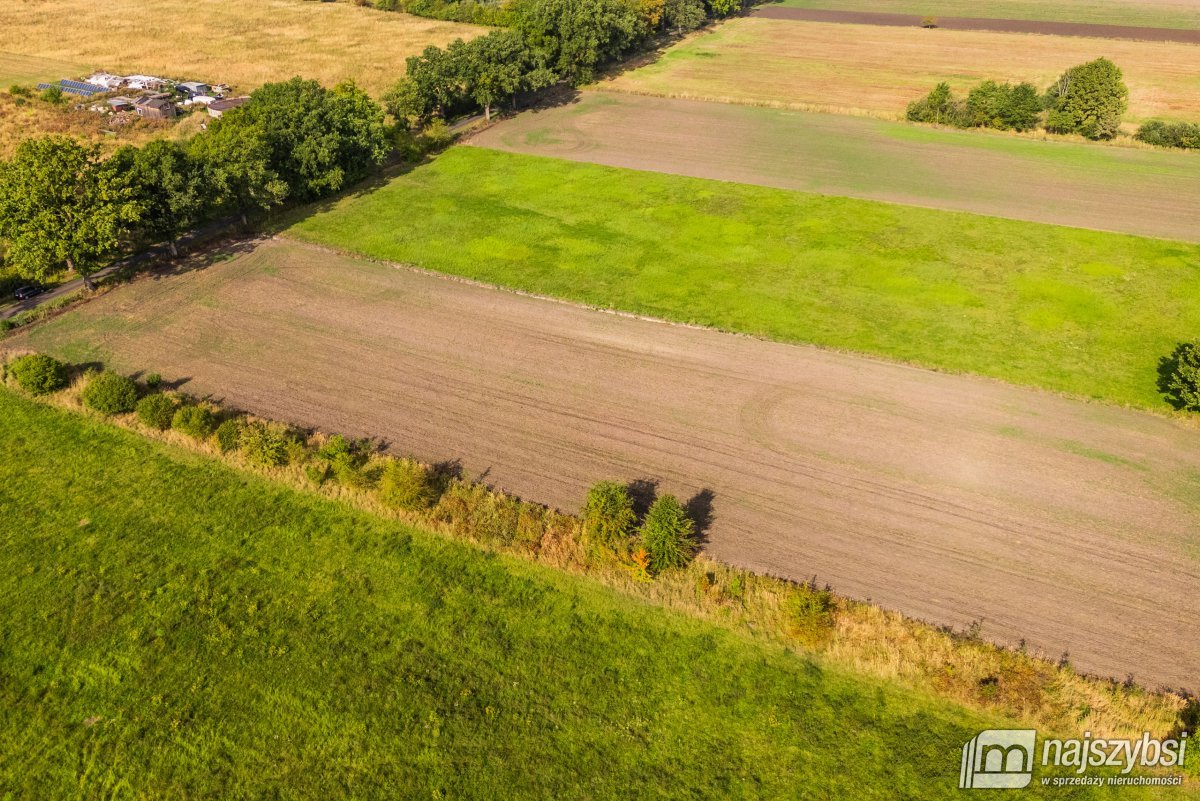 Giżyn, Pyrzyce - działki 3,69ha (7)