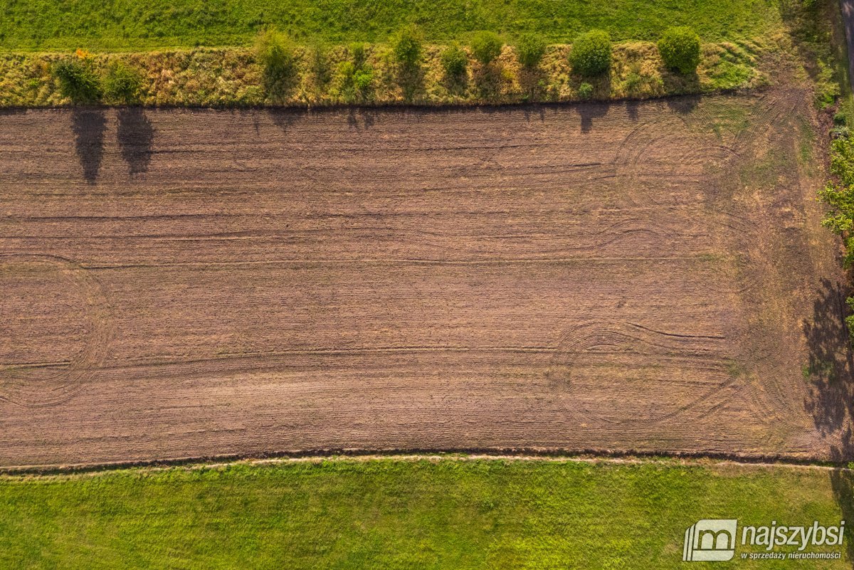 Giżyn, Pyrzyce - działki 3,69ha (8)