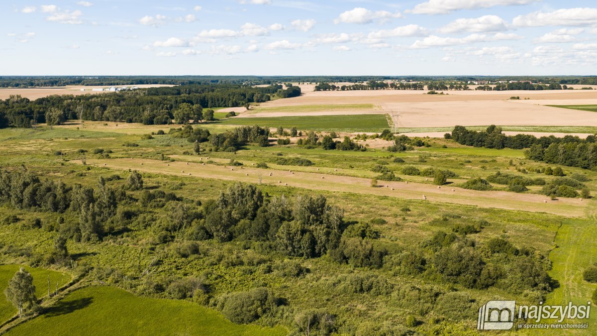 Danowo - działki rolne 2 hektary (1)