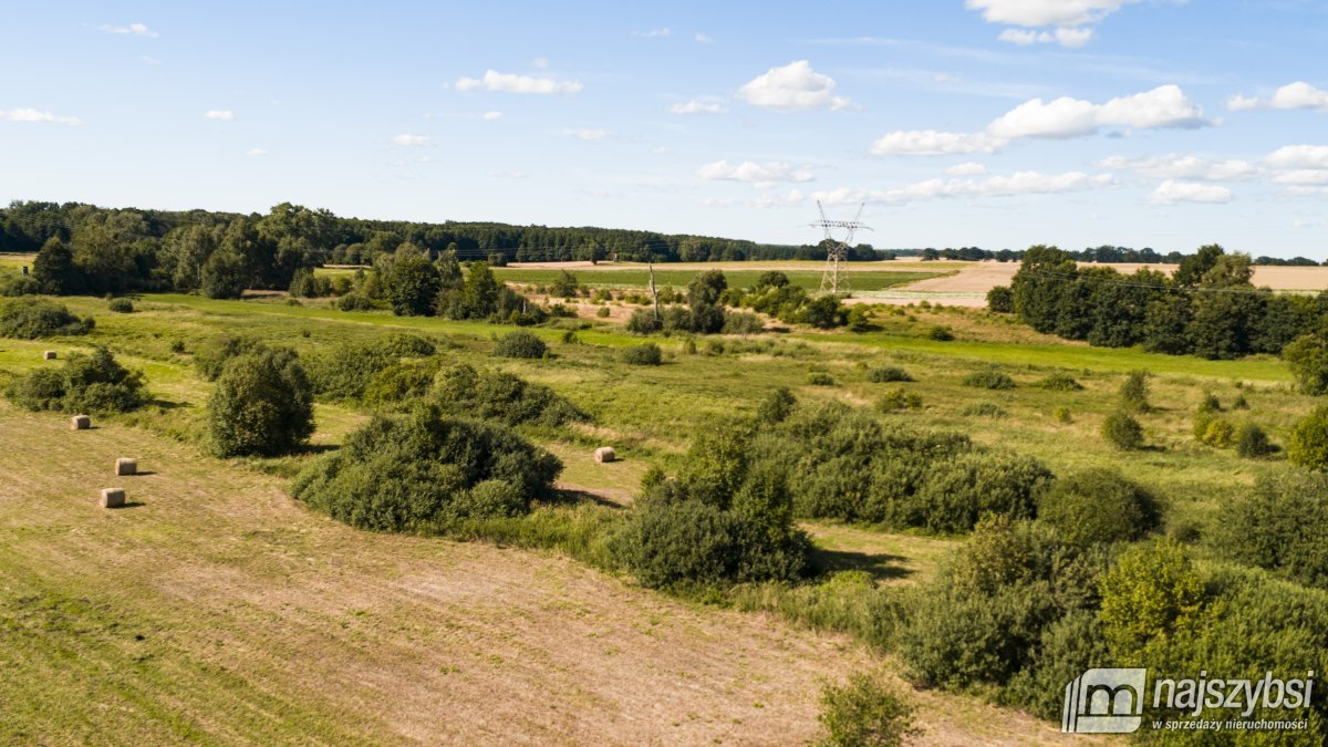 Danowo - działki rolne 2 hektary (13)