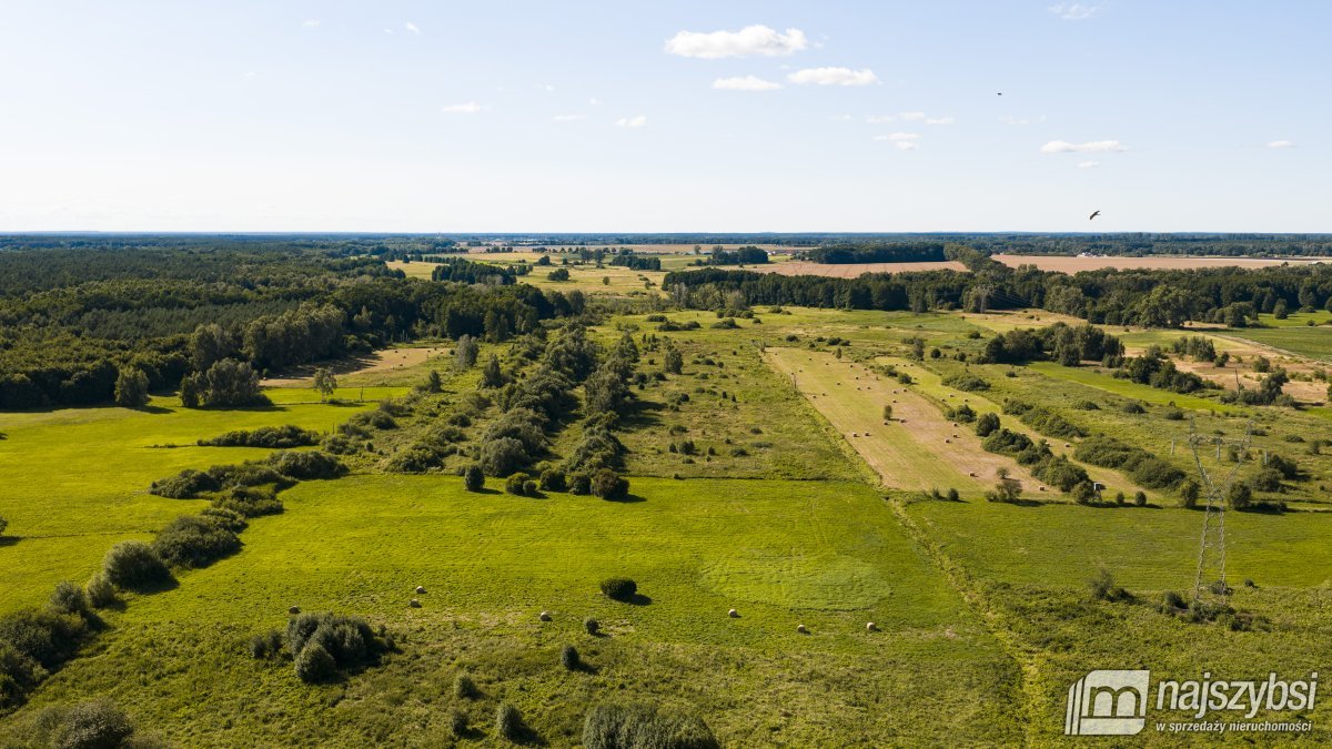 Danowo - działki rolne 2 hektary (3)
