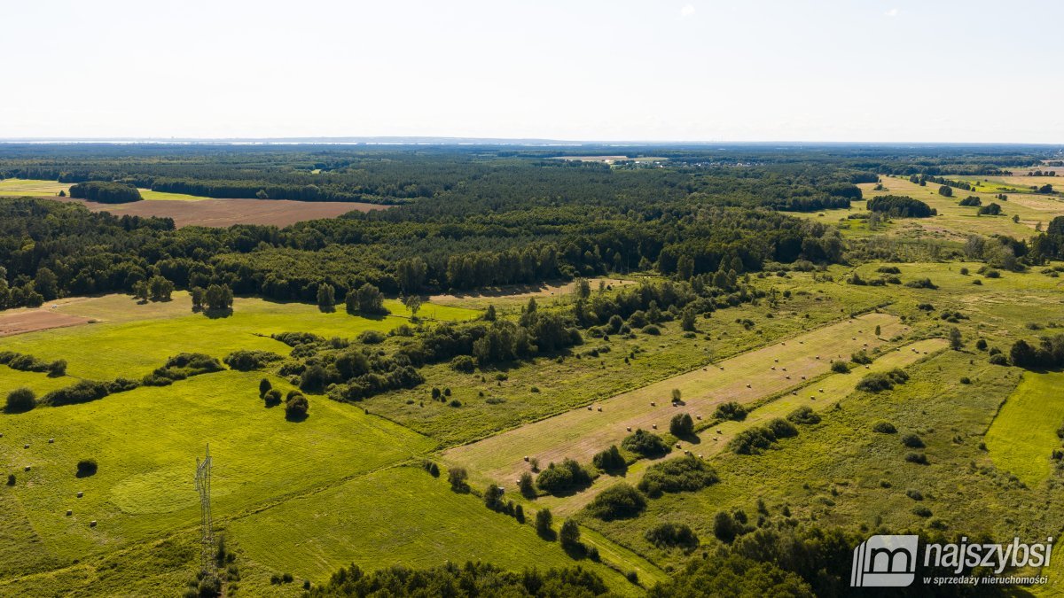 Danowo - działki rolne 2 hektary (5)