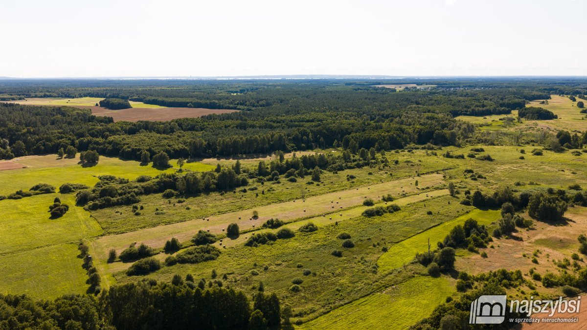 Danowo - działki rolne 2 hektary (6)