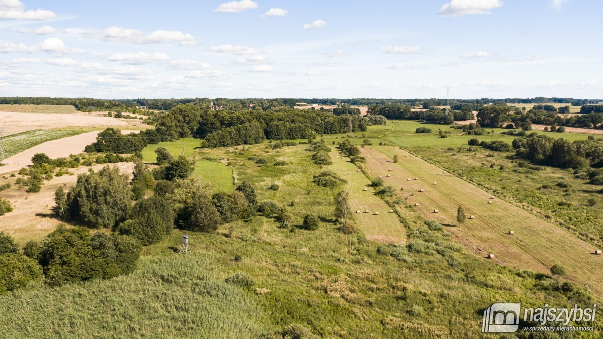 Danowo - działki rolne 2 hektary (8)