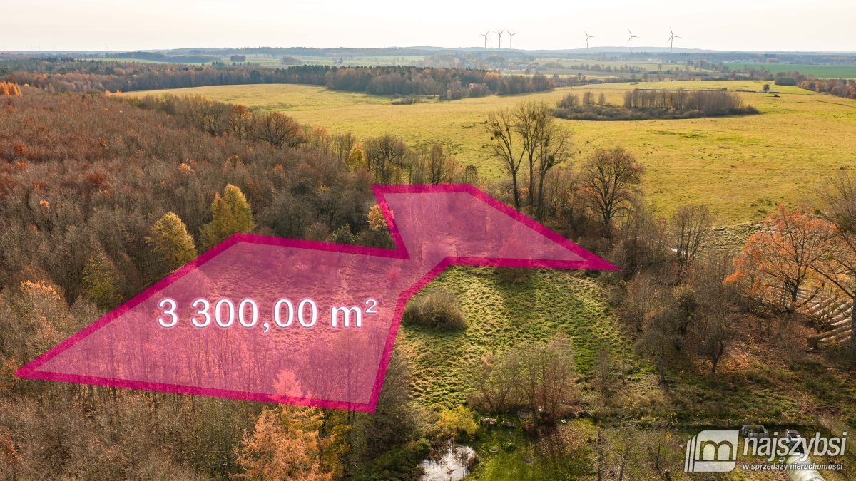 Zagórze-Dom 100m2 z dużą działką (4)