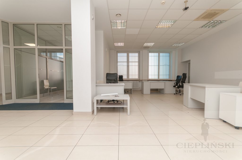 Lokal, 240 m2, parter, Szczecin Śródmieście (3)