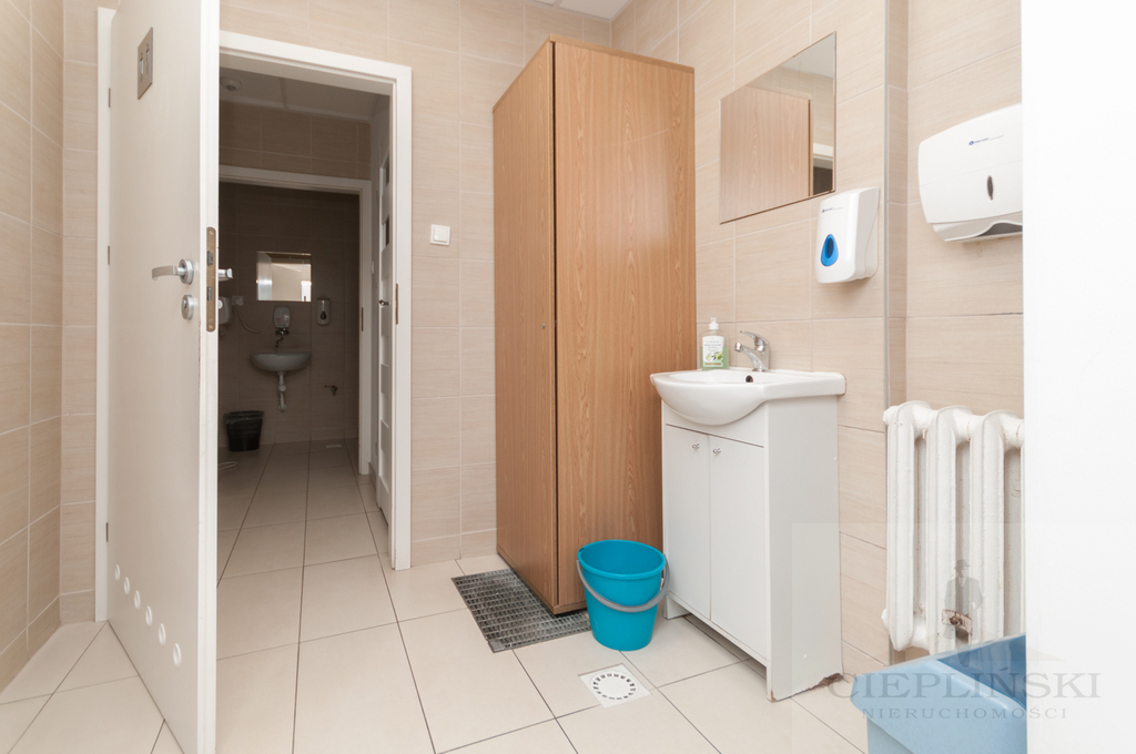 Lokal, 240 m2, parter, Szczecin Śródmieście (16)