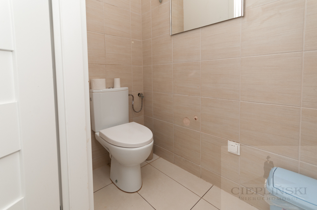 Lokal, 240 m2, parter, Szczecin Śródmieście (18)