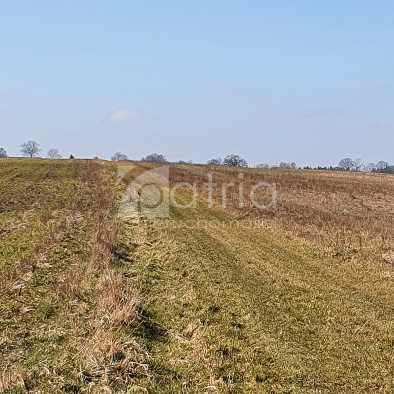Działka- 1092 z warunkami zabudowy (1)