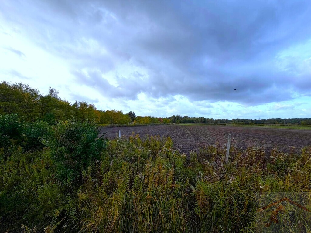 Szczecin, ul. Stary Szlak, działka z WZ, 6901 m2 (1)