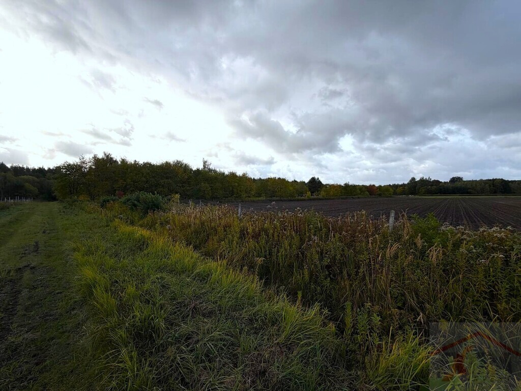Szczecin, ul. Stary Szlak, działka z WZ, 6901 m2 (2)