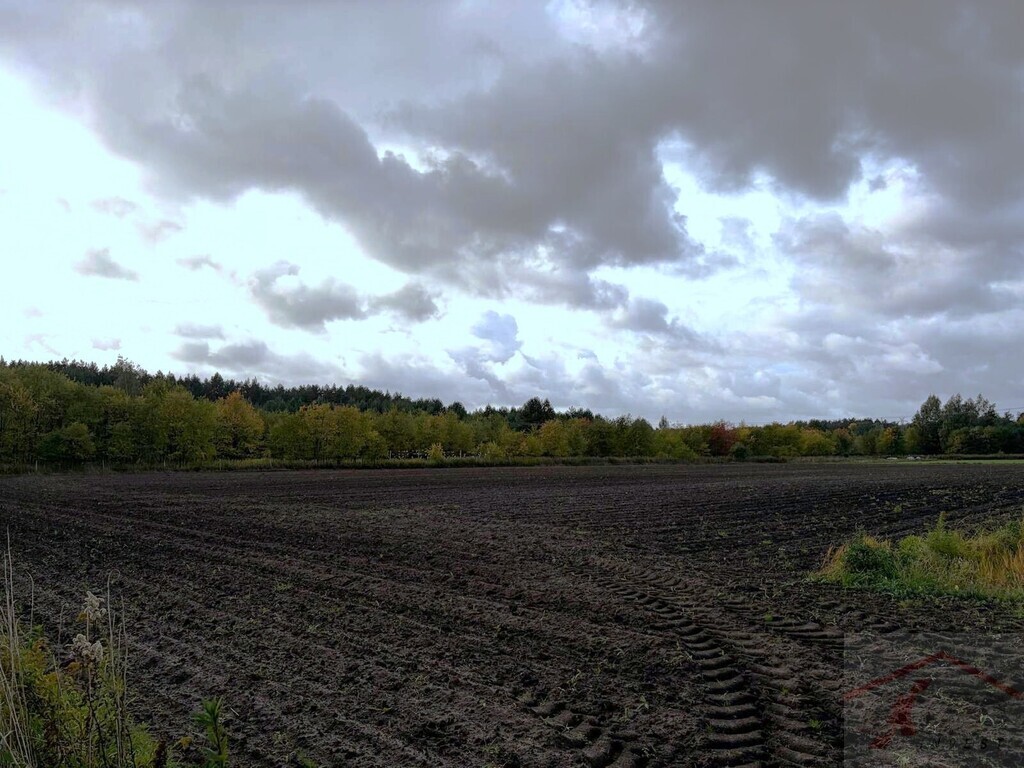 Szczecin, ul. Stary Szlak, działka z WZ, 6901 m2 (3)