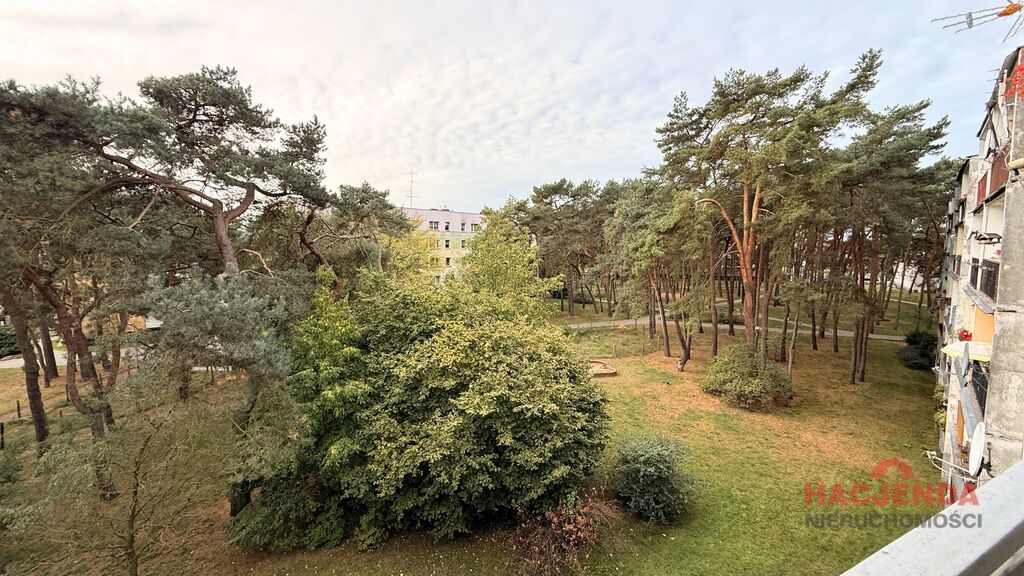 Słoneczne mieszkanie 3-pokojowe z balkonem. (12)