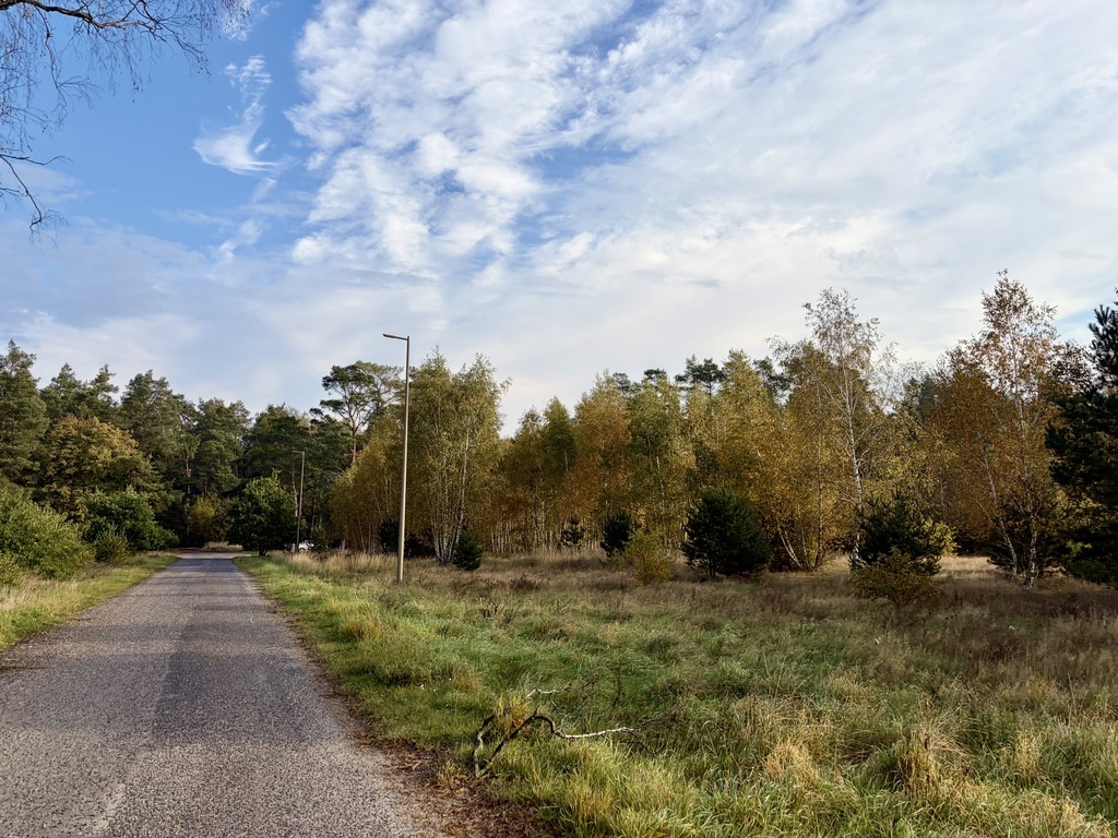 Miękowo | Duża działka przy lesie - 3 980 m2 | 796 000 zł (2)