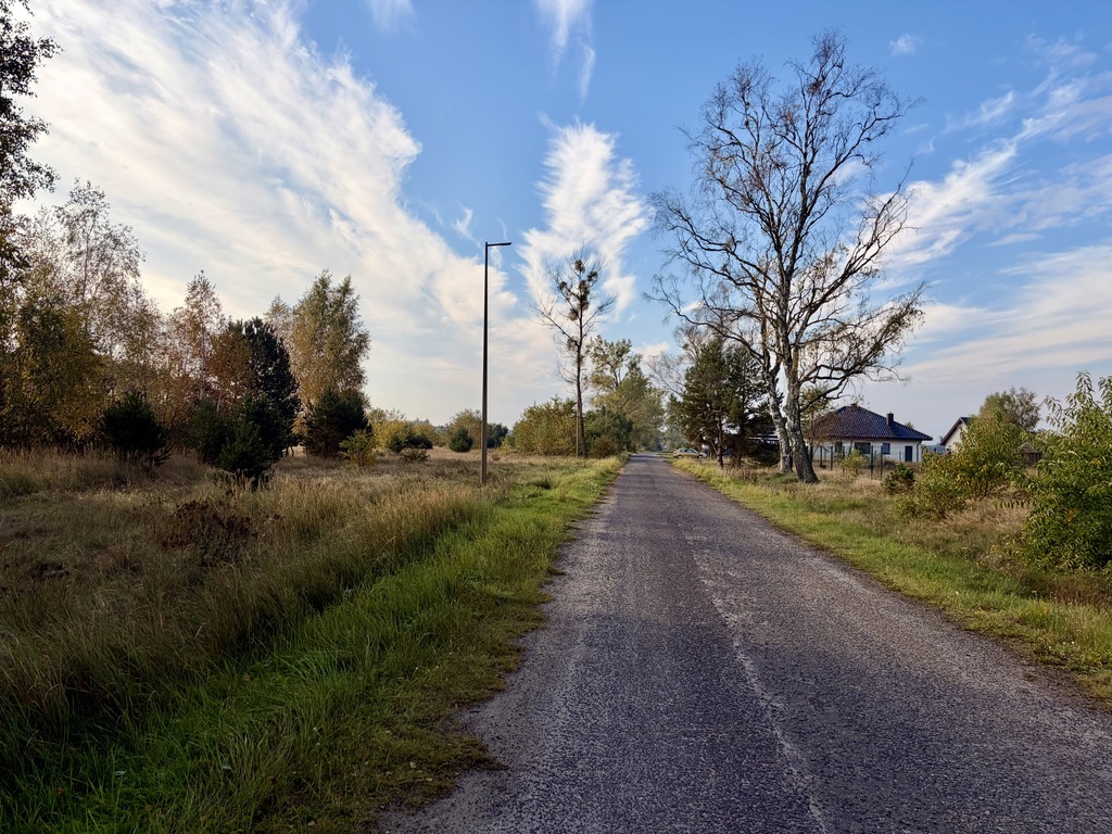 Miękowo | Duża działka przy lesie - 3 980 m2 | 796 000 zł (5)