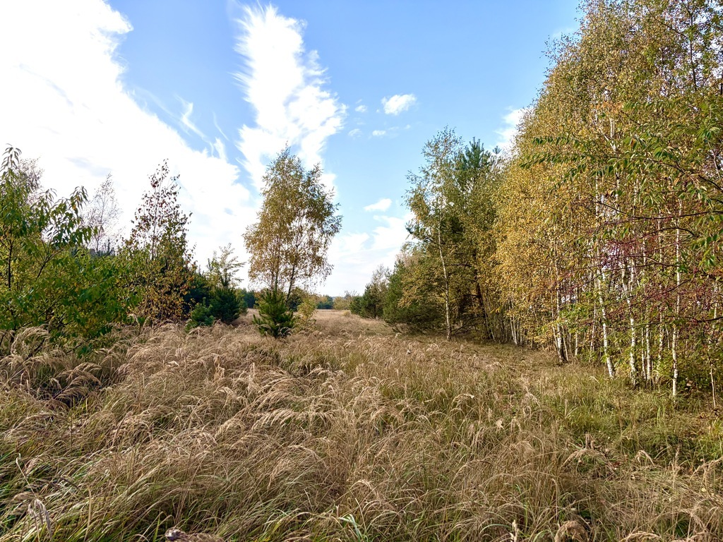 Miękowo | Duża działka przy lesie - 3 980 m2 | 796 000 zł (4)