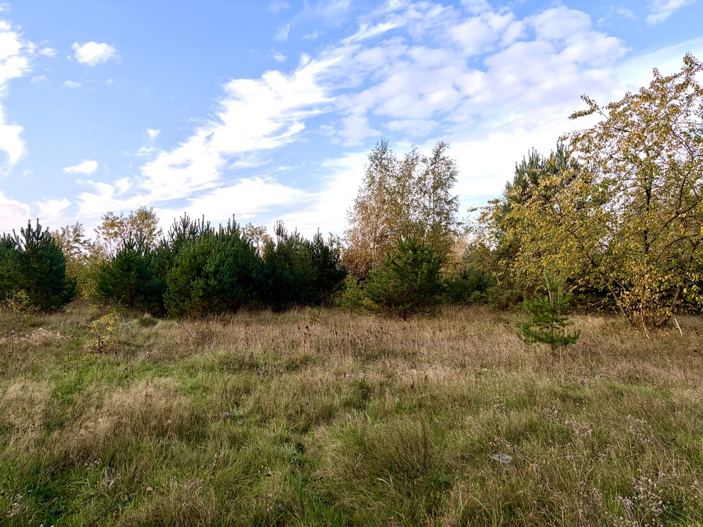Miękowo | Duża działka przy lesie - 3 980 m2 | 796 000 zł (3)