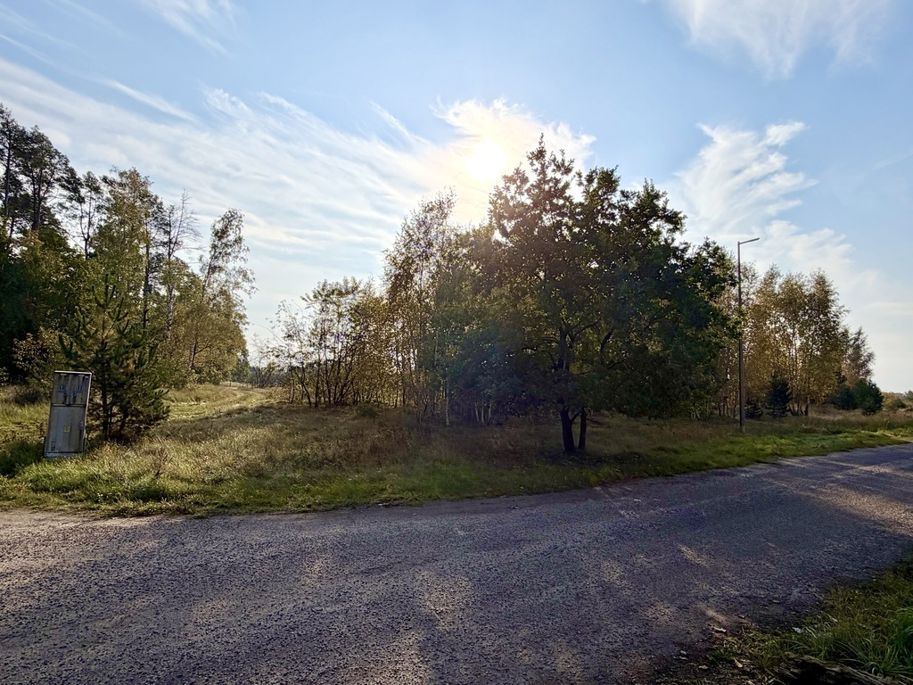 Miękowo | Duża działka przy lesie - 3 980 m2 | 796 000 zł (6)