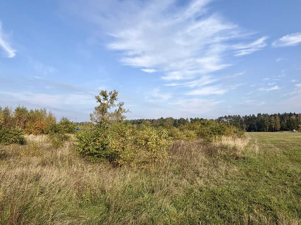 Miękowo | Duża działka przy lesie - 3 980 m2 | 796 000 zł (10)
