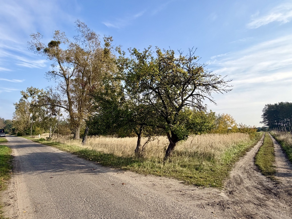 Miękowo | Duża działka przy lesie - 3 980 m2 | 796 000 zł (11)