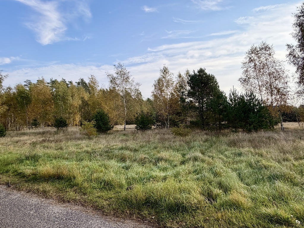 Miękowo | Duża działka przy lesie - 3 980 m2 | 796 000 zł (8)
