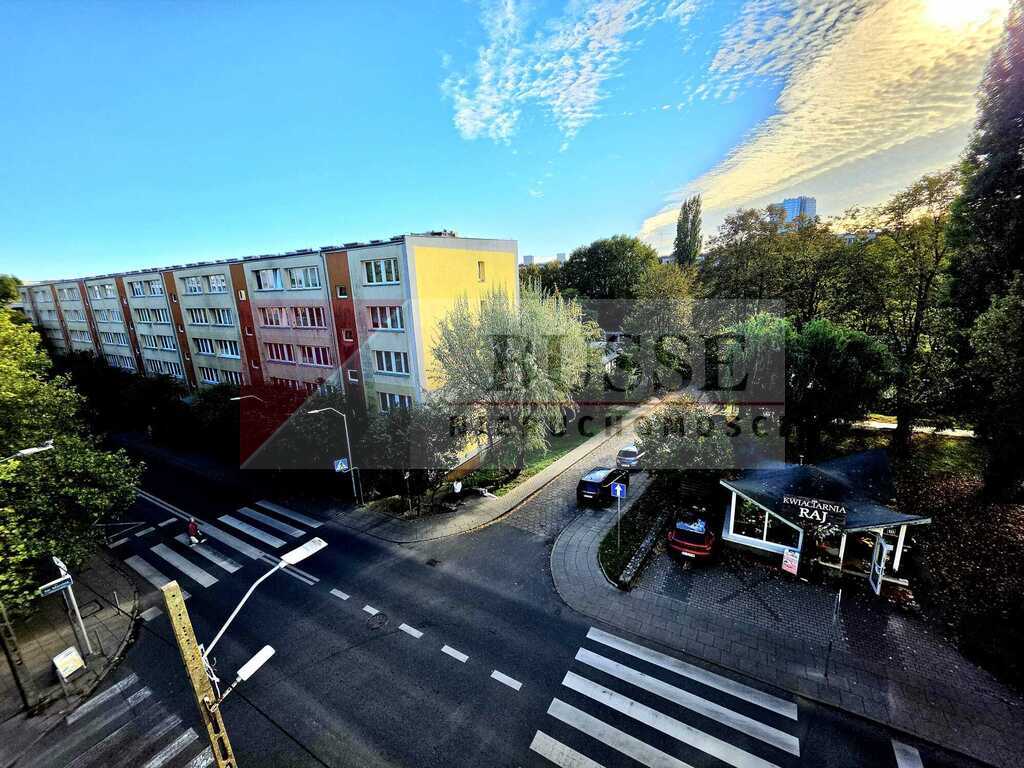 3 pokoje po generalnym remoncie | Nowoczesne wyposażenie | Niski blok! (14)