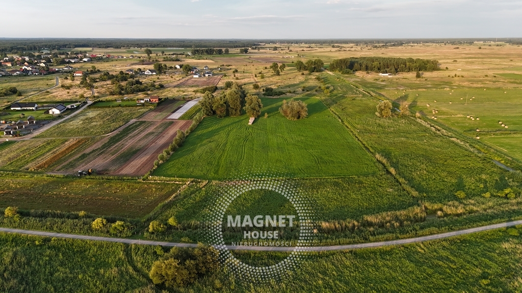 Działki nad samym jeziorem | Lubczyna (7)