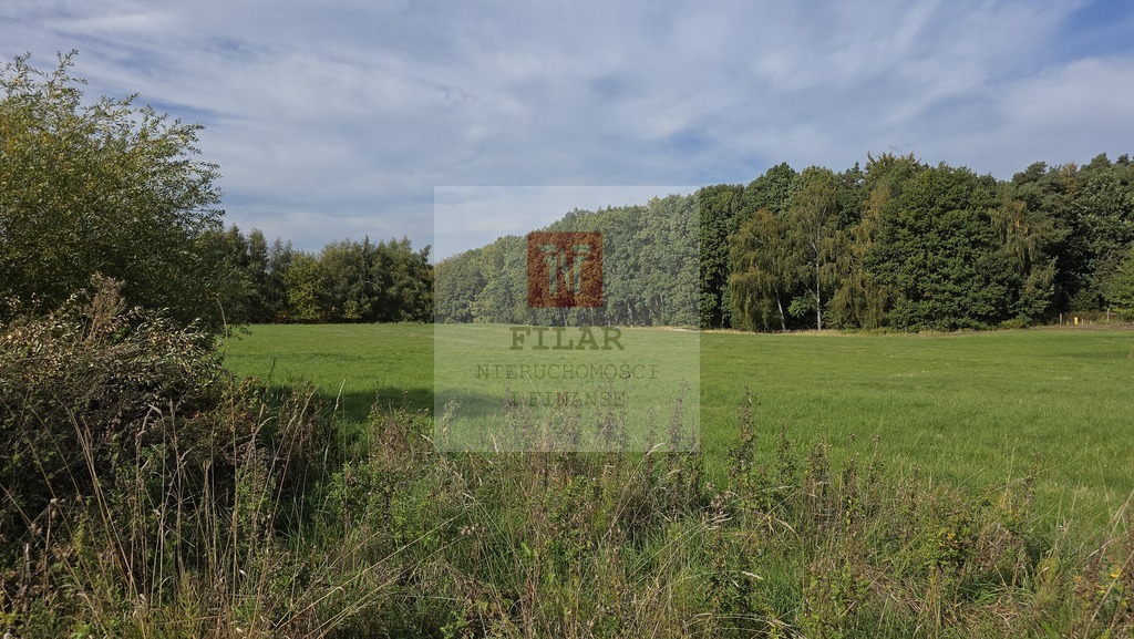 Przęsocin-bardzo atrakcyjna działka budowlana w pobliżu lasu. (2)