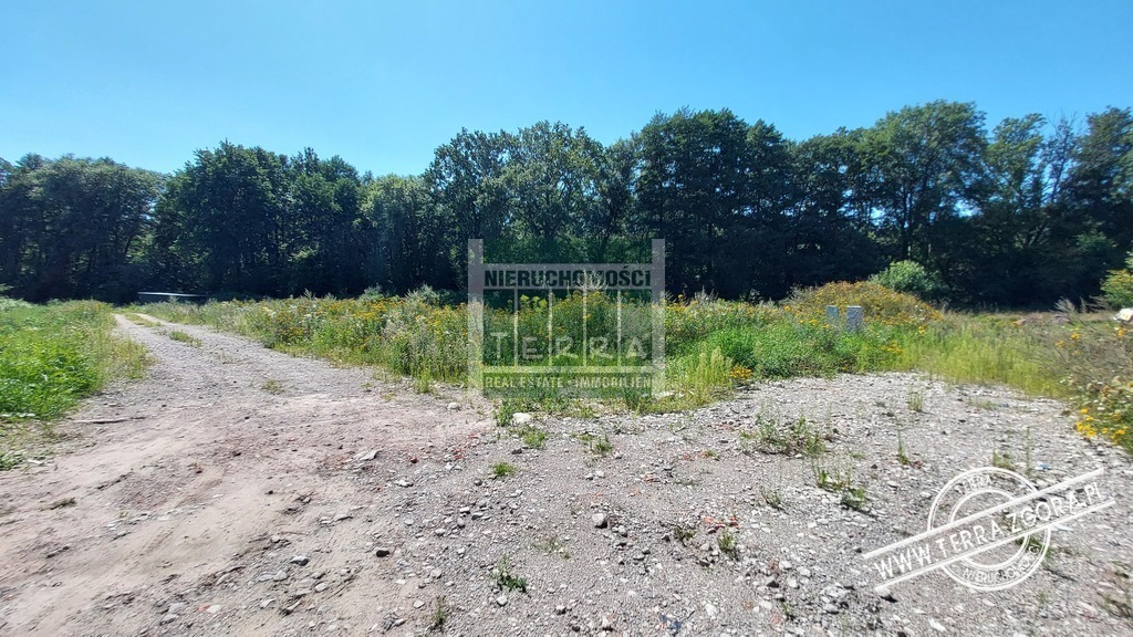 DROSZKÓW/ŁAZ działka POD LASEM (5)