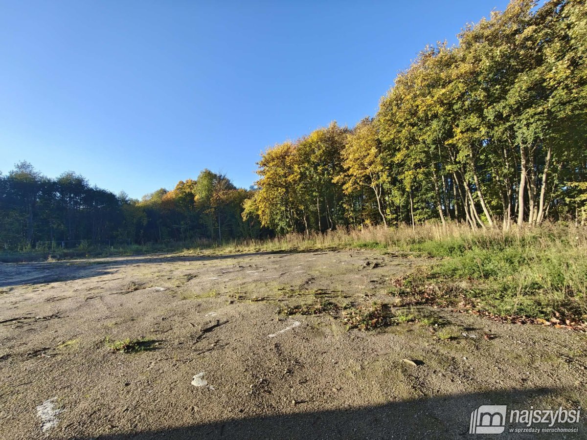 Maszewo okolice - obiekt z placem manewrowym 1,4ha (15)